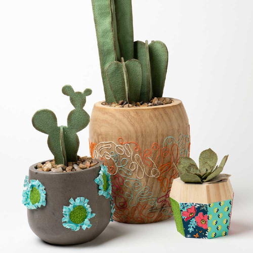 unique cactus planters
