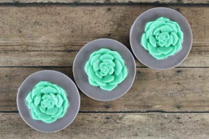 Succulent Sugar Scrub Soap Recipe