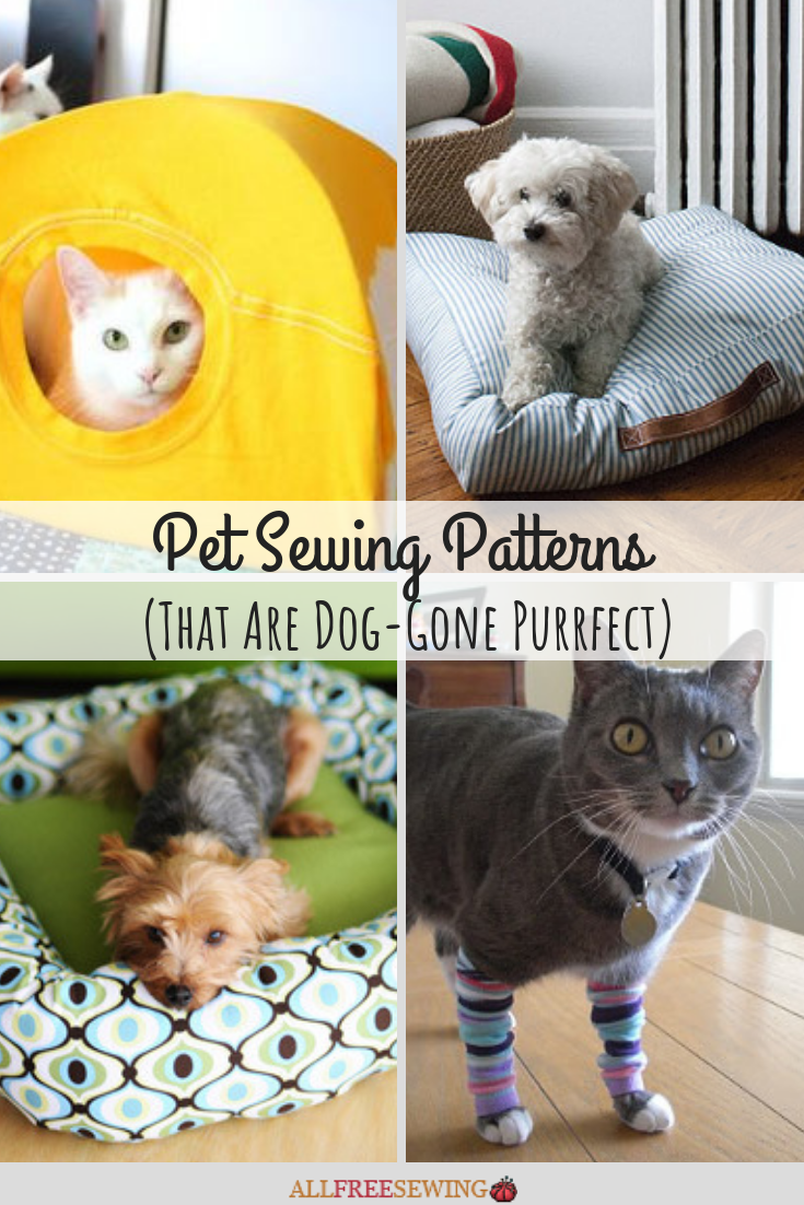 16 Pet Sewing Patterns (That Are Dog-Gone Purrfect) | AllFreeSewing.com