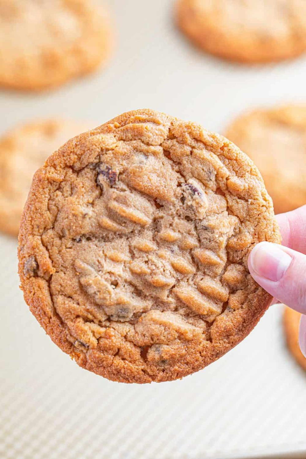 Delicious Homemade Peanut Butter Cookies Easy Recipes To Make At Home delicious-homemade-peanut-butter-cookies-easy-recipes-to-make-at-home