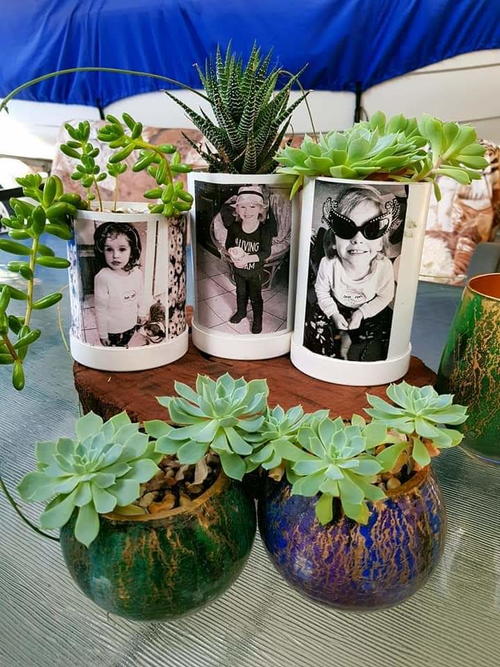 PVC pipe Photo Planters