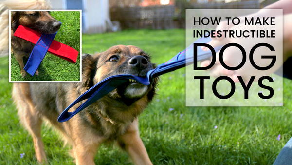 How to make a dog puzzle toy 