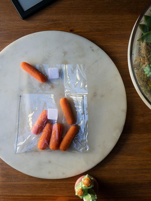 DIY Reusable Plastic Baggies