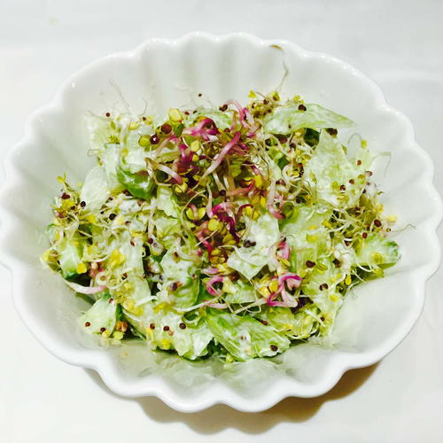Cucumber Broccoli and Radish Sprouts Salad
