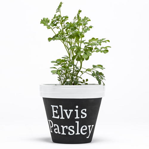 Elvis Parsley Flower Pot DIY