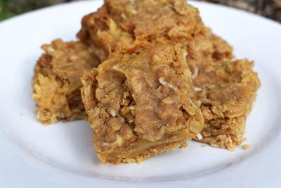 Cookie Butter Oatmeal Bars