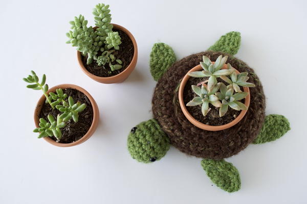 World Turtle Succulent Holder