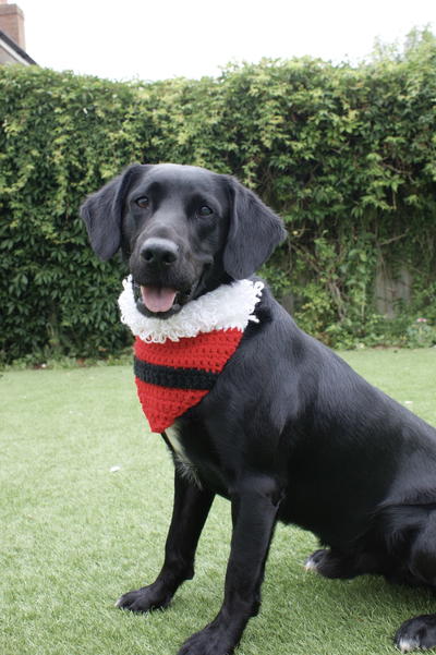 Santa’s Best Friend - Dog Bandanna