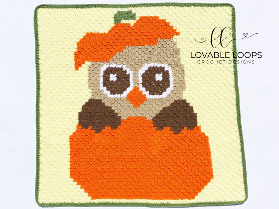 Fall Owl Blanket