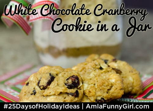 Cookies in a Jar, White Chocolate Cranberry