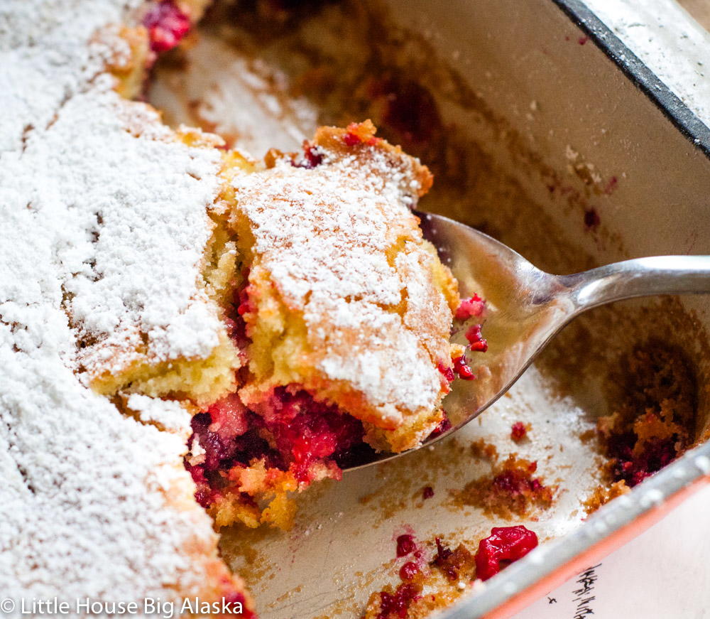 Raspberry Buckle