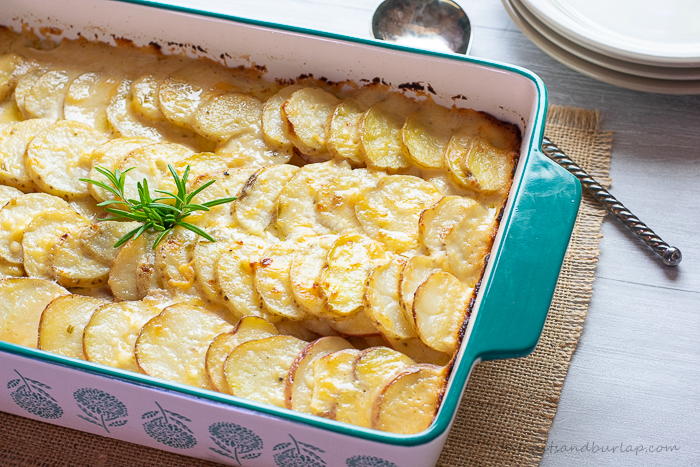 Potato Gratin With Aged Gouda Cheese