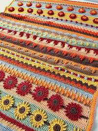 Namaqualand Blanket Pattern | AllFreeCrochet.com