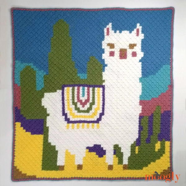 Llama and Cactus C2C Graphgan