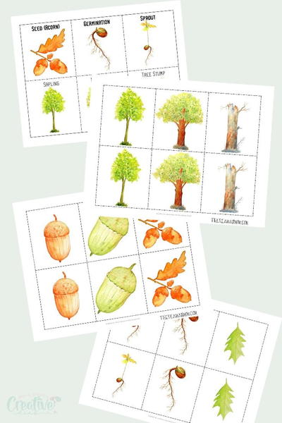 Oak Tree Printable