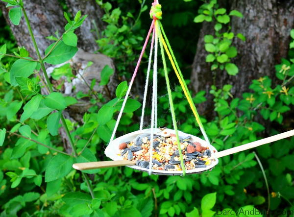 How to Make a Seashell Bird Feeder