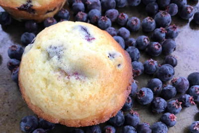 Saskatoon Berry or Blueberry Muffins