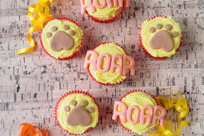 Lion King Birthday Party Cupcakes