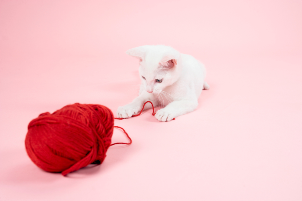 How to Tell if Yarn Is Wool or Acrylic