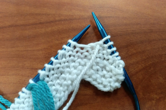 Roositud Knitting on the Wrong Side Step 1