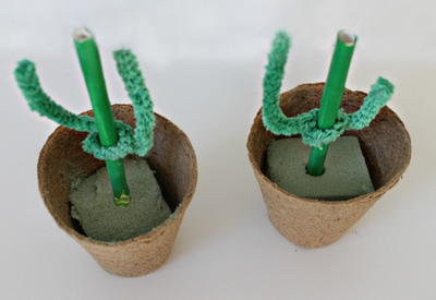 Cute Cactus Pots