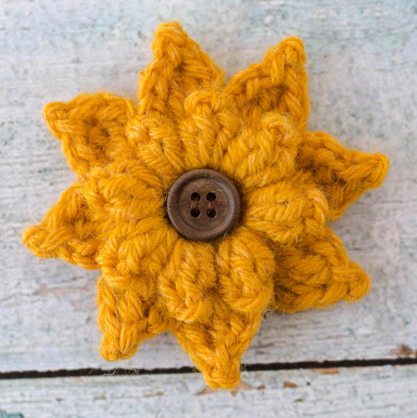 Black Eyed Susan Flower 