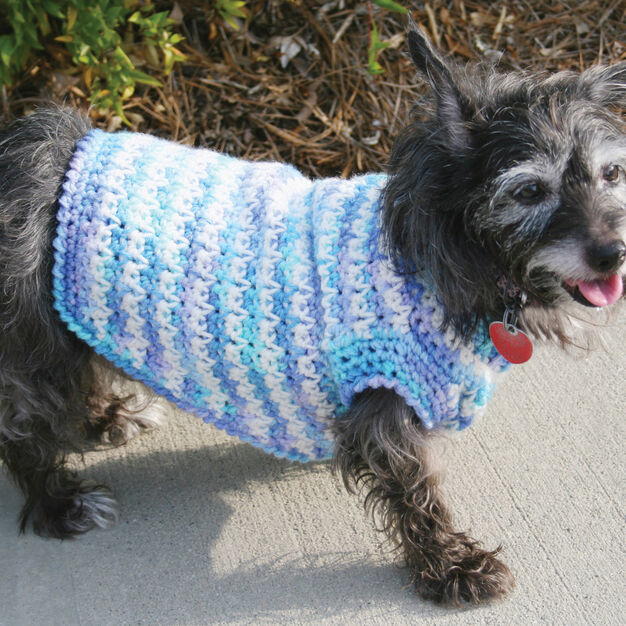 Crocheted Dog Sweater Pattern