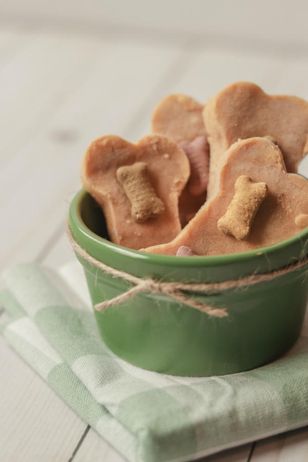 Homemade Frozen Dog Treat Recipes With Banana