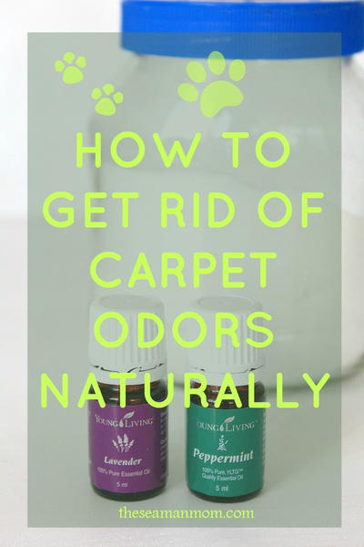 DIY Carpet Deodorizer