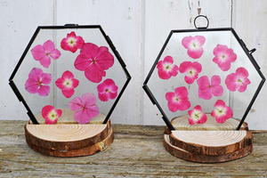 Wood slice frame stand and pressed flowers