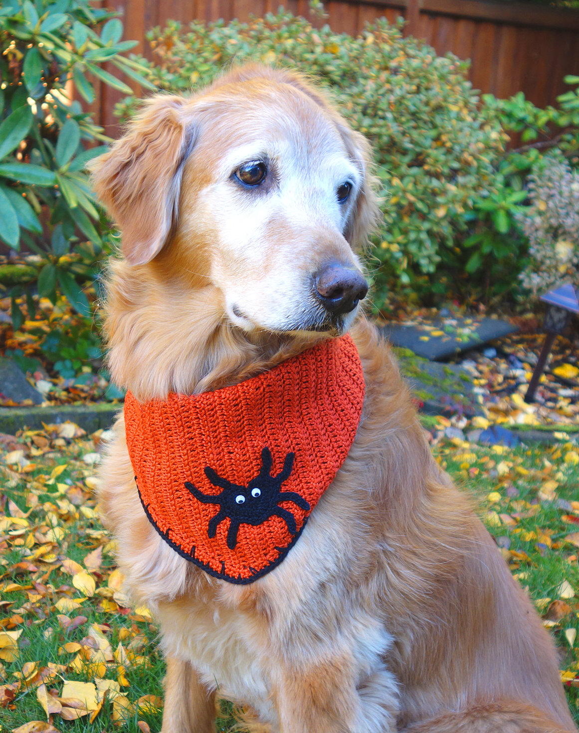 Halloween Dog Bandana | AllFreeCrochet.com