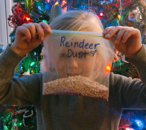 How to Make Reindeer Dust