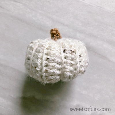 Petite Little Pumpkin for Fall Autumn Halloween Thanksgiving