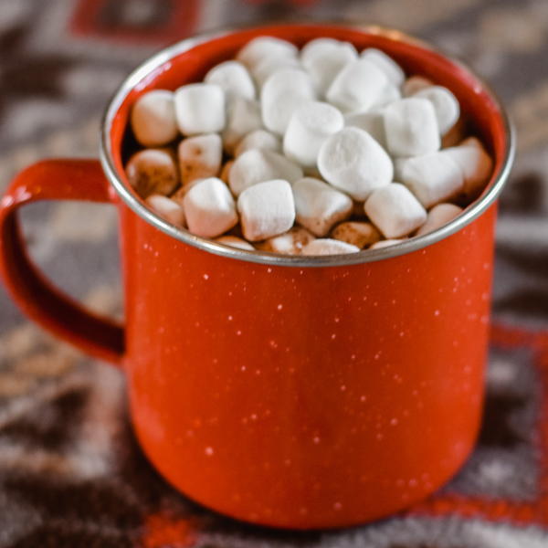 Slow Cooker Hot Chocolate for a Crowd