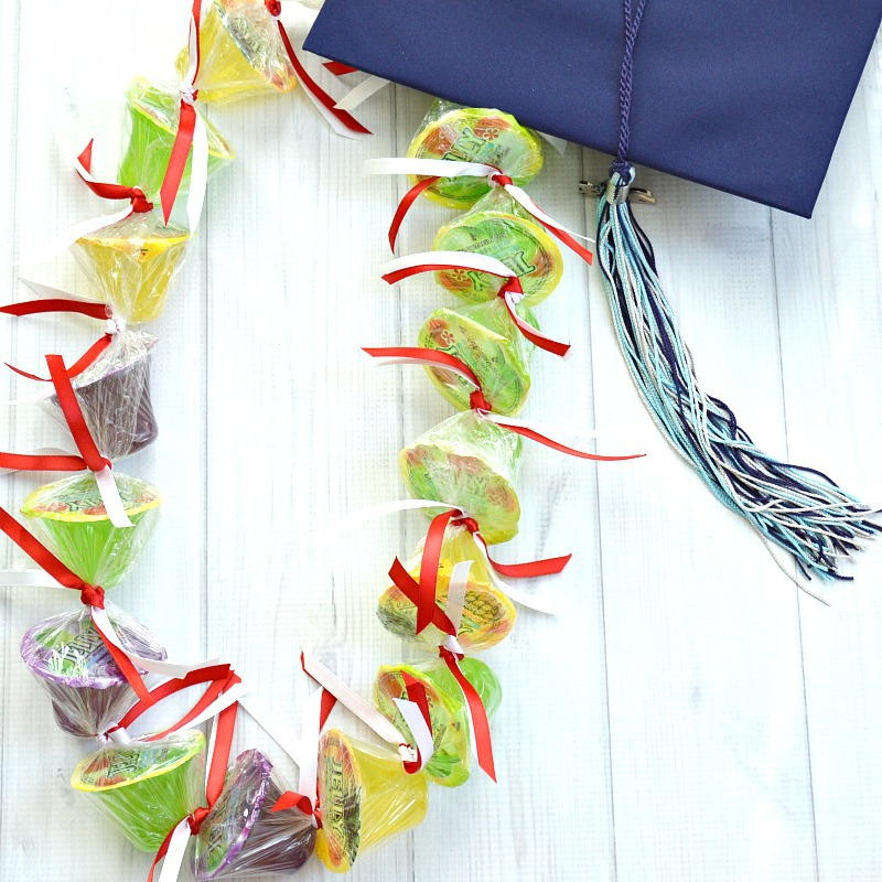 Diy Lei (made From Almost Anything) | AllFreeKidsCrafts.com