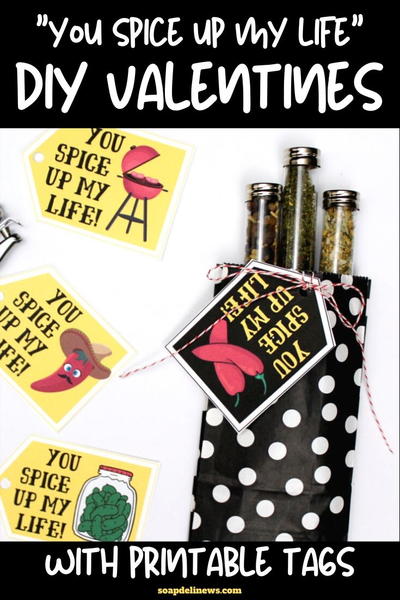 Easy You Spice Up My Life Diy Valentine's Day Gifts With Printables