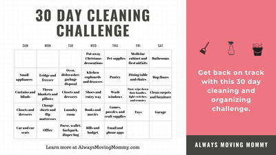 30 Day Cleaning Challenge