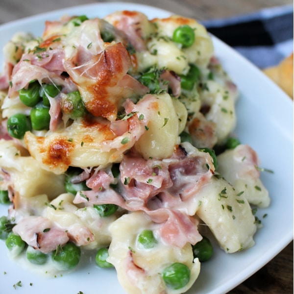Ham And Cheese Tortellini RecipeLion