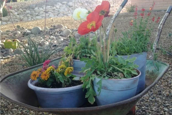 Aged Plastic Terra Cotta Flower Pots