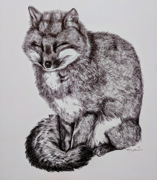 Fox drawn in ballpoint pen