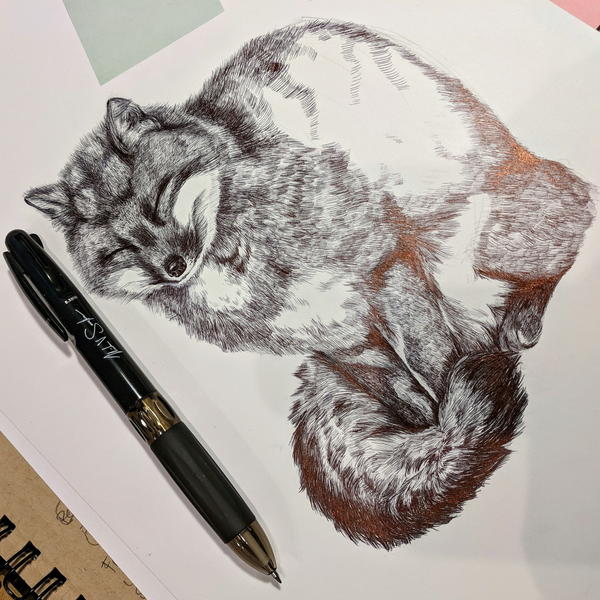 一件进展中的作品:一只用圆珠笔画的狐狸。＂title=