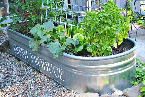 12 Brilliant Container Vegetable Gardening Ideas