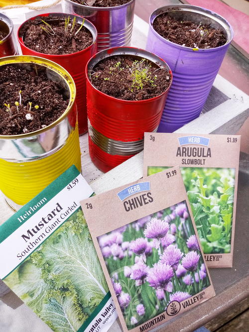 How To Create Recycled Container Herb Garden With Your Kids