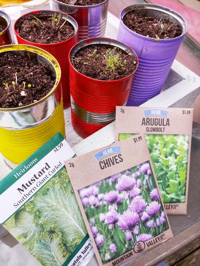 How To Create Recycled Container Herb Garden