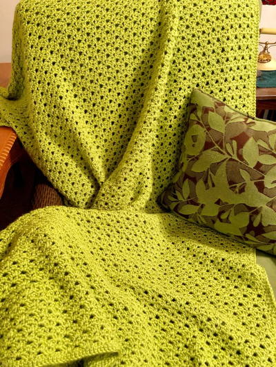 Springtime Soft Shells Crochet Blanket Pattern