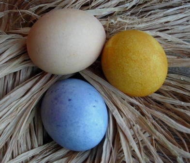 How to Dye Easter Eggs Naturally