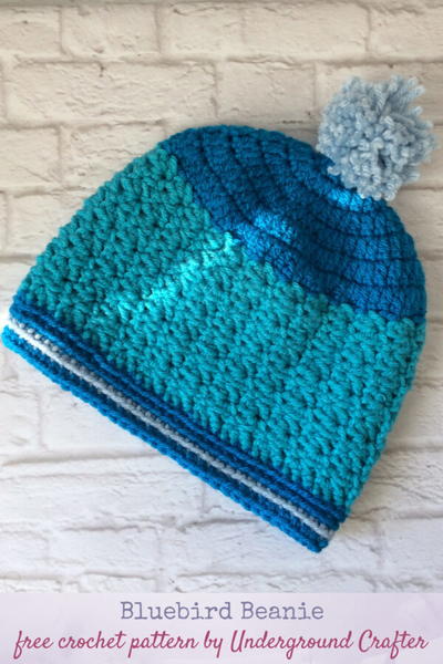 Bluebird Beanie 