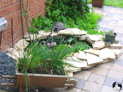 Front Pond Water Feature | DIYIdeaCenter.com