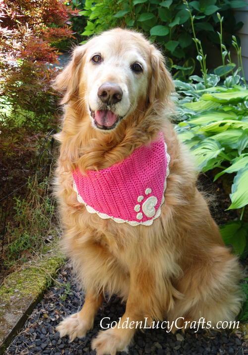 Crochet Dog Bandana | FaveCrafts.com