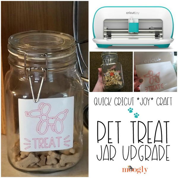 Pet Treat Jar Upgrade